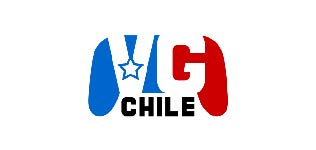 Logo VG Chile